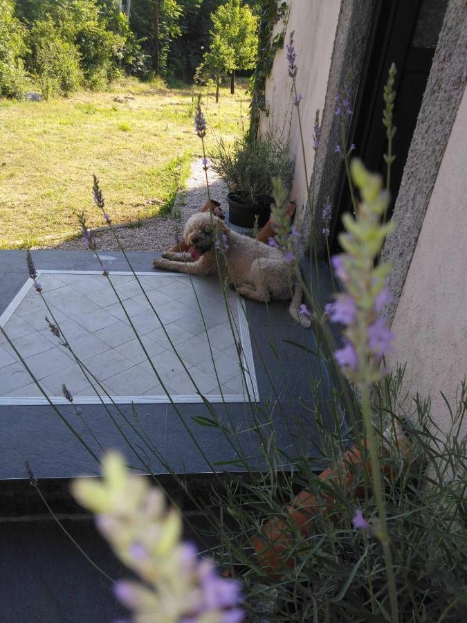 Lucha Apartman Rijeka Crnojevića 외부 사진